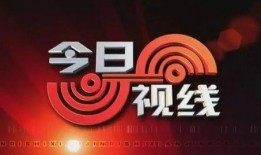 今日爆料,今日重磅爆料事件深度解析