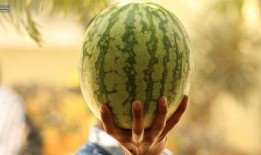 吃瓜大瓜事件,揭秘网络舆论狂欢背后的真相